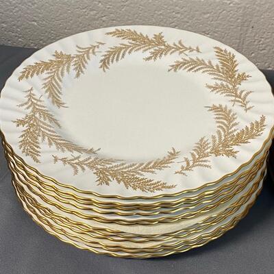 24 Minton "Golden Fern" Bone China Dinner Plates
