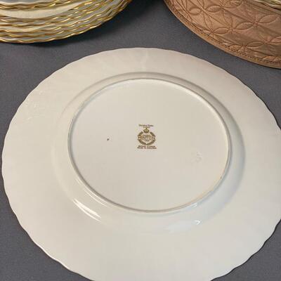 24 Minton "Golden Fern" Bone China Dinner Plates