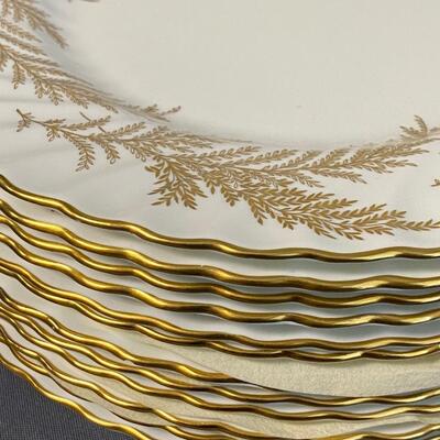 24 Minton "Golden Fern" Bone China Dinner Plates