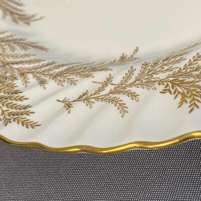 24 Minton "Golden Fern" Bone China Dinner Plates