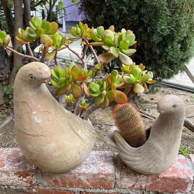 Pair of Clay Pottery Bird Dove Planter Pots with Succulent & Cactus