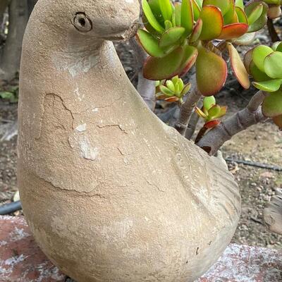 Pair of Clay Pottery Bird Dove Planter Pots with Succulent & Cactus