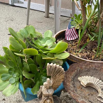 Miscellaneous Garden Yard Art and Potted Succulent Lot
