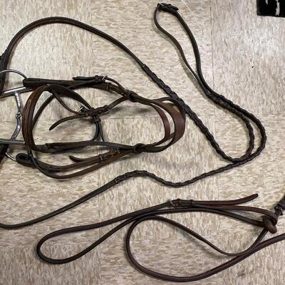 Antares France Leather Saddle