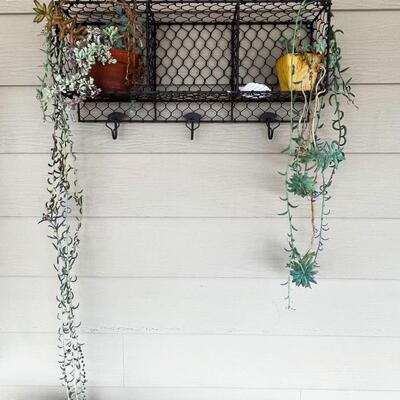 Decorative Garden Metal Shelving with Potted Plants