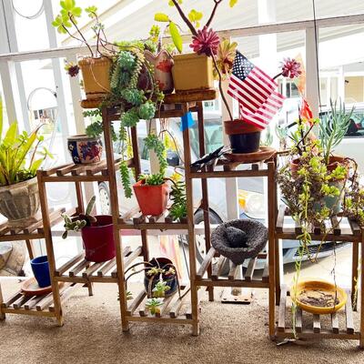 Garden Yard Art Wooden Shelving Decor with Miscellaneous Potted Plants