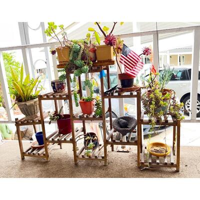 Garden Yard Art Wooden Shelving Decor with Miscellaneous Potted Plants