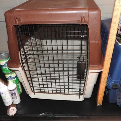 Variety of Pet Items
