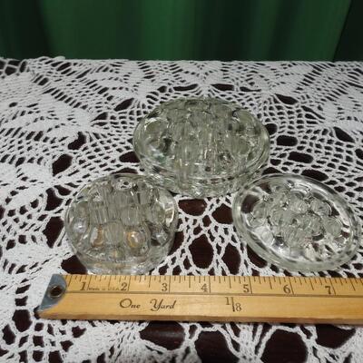 Glass Frogs