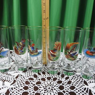 Wildlife Pilsner glasses