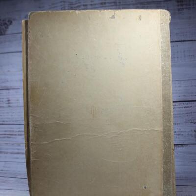 Antique Art Nouveau Hardback Book The Passing Show Drawings by A.B. Wenzell