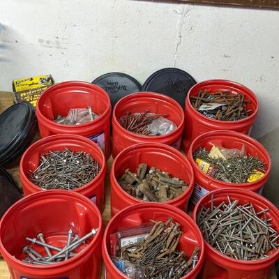 Lot of Folgers Nails and Screws