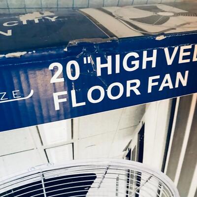 Lot of 2 Floor Fans  20