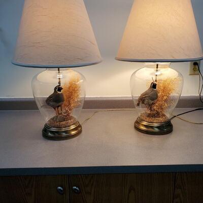 The Wildlife Collection - Taxidermy Mount Quail Lamps