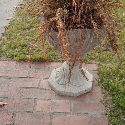 Pair of beautiful concrete planters