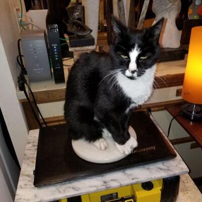 Cat on base not for sale