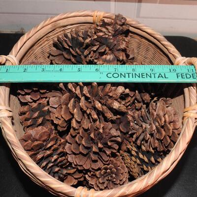 Nice basket full of acorns