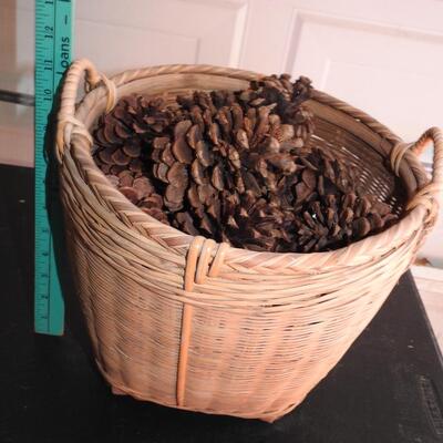 Nice basket full of acorns