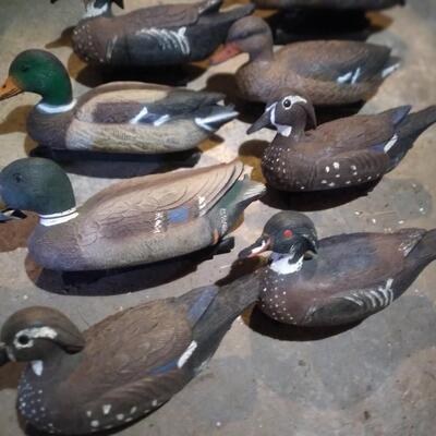 LOT 37  DUCK DECOYS
