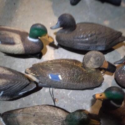LOT 38  MALLARD DUCK DECOYS