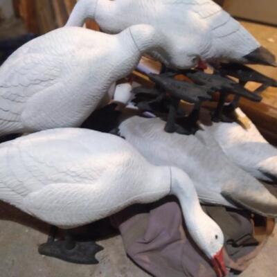 LOT 40  SNOWGEESE DECOYS