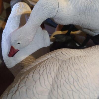 LOT 40  SNOWGEESE DECOYS