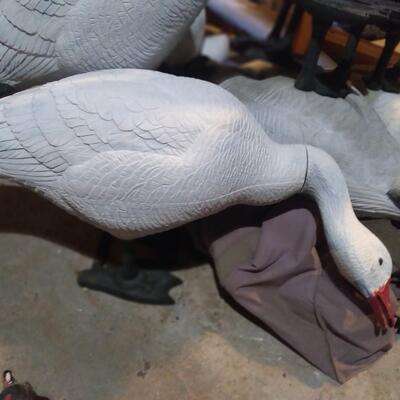 LOT 40  SNOWGEESE DECOYS