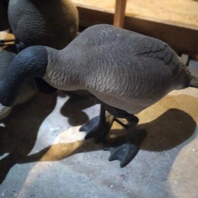 LOT 41   GEESE DECOYS