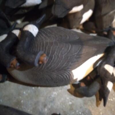 LOT  42  GEESE SHELL DECOYS