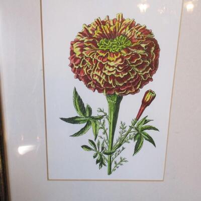 Framed & Matted Flower Pictures 14
