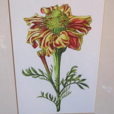 Framed & Matted Flower Pictures 14