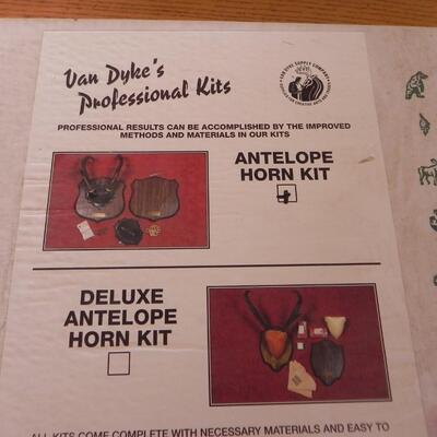 LOT 61  ANTELOPE HORN KIT AND SKULL