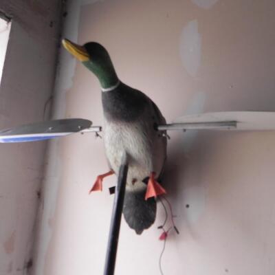 LOT 71  TWO FLYING DECOYS ON POLES
