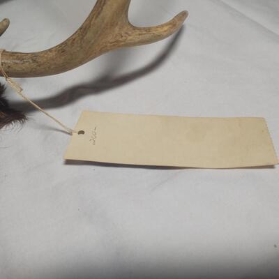 Native American Mask