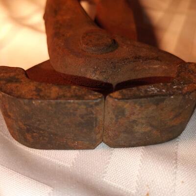 Hoof nippers