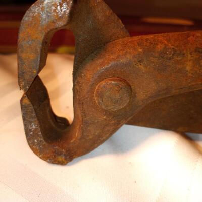 Hoof nippers
