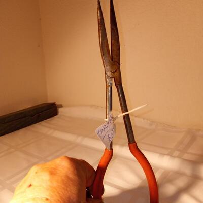 needle nose