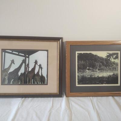 Framed Prints