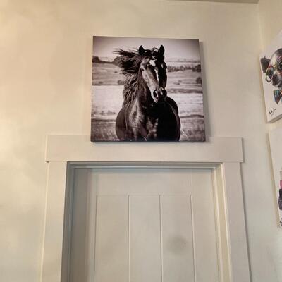 Horse Print on Canvas
