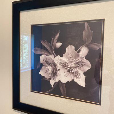 Two Framed Orchid Prints