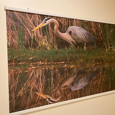 Large Naturalist Photo of Blue Egrets Wall Hanging Mural