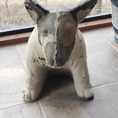 Concrete Outdoor Dog