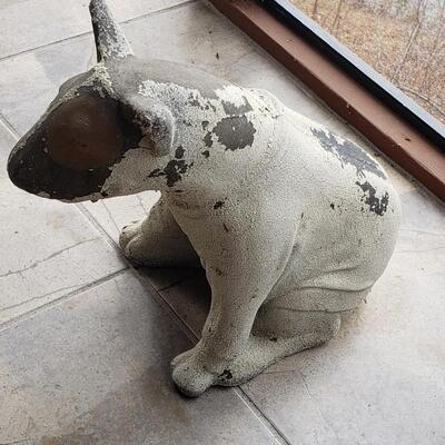 Concrete Outdoor Dog