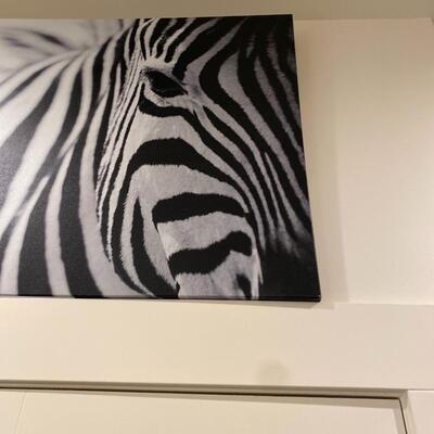 Large Decorative Zebra Print