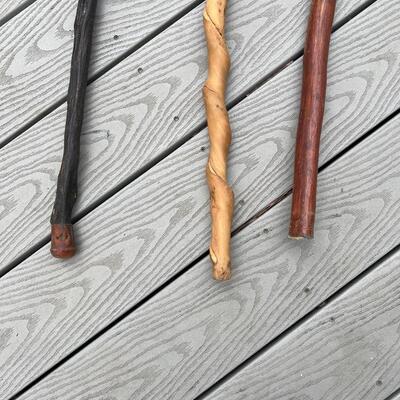 Three (3) ~ Wood Canes