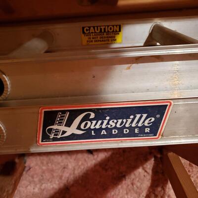 16' Metal Extension Ladder