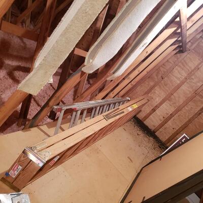 16' Metal Extension Ladder