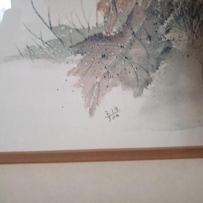 Red Fox Lithograph