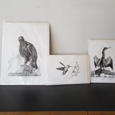 Wildlife Lithographs