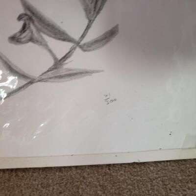 Wildlife Lithographs